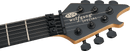EVH WOLFGANG SPECIAL Electric Guitar (Stealth Black)