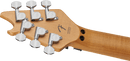 Guitare électrique EVH WOLFGANG SPECIAL (noire)