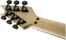 EVH WOLFGANG USA Edward Van Halen Signature Electric Guitar (Stealth Black)
