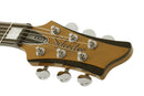 Schecter STARGAZER-6 VIBRATO Electric Guitar (Metallic Gold)