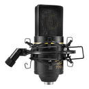 MXL 770 Condenser Microphone with Pad and HPF
