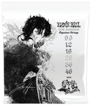 Cordes de guitare électrique Ernie Ball 3826EB Tim Henson Signature - 9,5-46