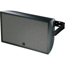 JBL AW566 High Power 2-Way All Weather Loudspeaker With Rotatable Horn (Black) - 15in