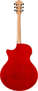 Guitare électro-acoustique Ibanez AE170NTR (Finition naturelle brillante)