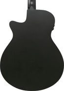 Guitare acoustique Ibanez AEG1221BOT 12 cordes (Noir)
