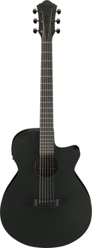 Ibanez AEG621BOT Acoustic Guitar (Black Out)