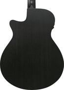 Ibanez AEG621BOT Acoustic Guitar (Black Out)