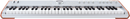 Arturia ASTROLAB 61 Édition Limitée Clavier de Scène Semi-Lesté (Silver) - 61 Touches