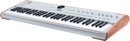 Arturia ASTROLAB 61 Édition Limitée Clavier de Scène Semi-Lesté (Silver) - 61 Touches