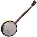 Banjo Washburn B9-WSH-A Americana Series (Tobacco Sunburst)