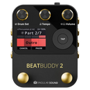 Singular Sound BEATBUDDY 2 Drum Machine Pedal (Black And Gold)