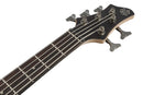 Ibanez BTB605LTGF BTB Standard Left-Handed 5-String Electric Bass (Transparent Gray Flat)