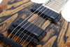 Schecter BARBARIAN PALE MOON EBONY Wylde Audio Electric Guitar (Gloss Natural)