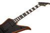 Schecter BLOOD EAGLE Wylde Audio Electric Guitar (Mahogany Blackout)