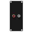Caymon CASY132/B 2 RCA to 2 Pin Terminal Input Plate