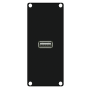 Caymon CASY161/B USB 2.0 Input Plate