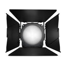 Cameo Pro CLF2DIP Professional IP65 Fresnel White Daylight - Includes Barndoor and Gel Frame