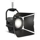 Cameo Pro CLF2DPO Professional Pole-Operated Fresnel White Daylight - Includes Barndoor and Gel Frame