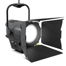 Cameo Pro CLF4DPOIP Professional Pole-Operated IP65 Fresnel White Daylight - Includes Barndoor and Gel Frame