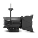 Cameo Pro CLF4DPOIP Professional Pole-Operated IP65 Fresnel White Daylight - Includes Barndoor and Gel Frame
