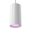 Cameo Pro CLH1FCWH House Light Full Color LED DMX Control (White)