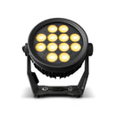 Cameo Pro CLPFLATPRO12G2 FLAT PRO 12 G2 Professional Outdoor 12 X 10W RGBA LED PAR IP65 (Black)