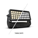 Theatrixx ZENIT W600 Lampe de lavage LED extérieure 40 X 18 W TW IP65 (Noir)