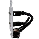 Covid D1219P-CA HDMI Pigtail, USB AA Pig-Ltail Plate (anodisé transparent)