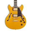 Guitare électrique semi-hollow D&
