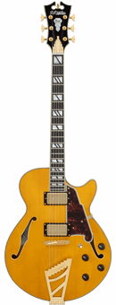 Guitare électrique semi-hollow D&