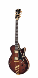 Guitare électrique semi-hollow D&
