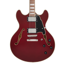 D'Angelico PREMIER DC Semi-Hollow Electric Guitar (Burnt Red)