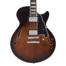 D'Angelico DAPSSBRBNS Guitare électrique semi-creuse (Brown Burst)