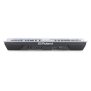 Économiseur de pont DS-PC-GAIA2 Synthétiseur Couverture de poussière