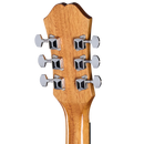 Epiphone DR100 SONGMAKER Series Left-Handed Acoustic Guitar (Natural)