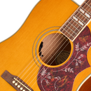 Epiphone MASTERBILT HUMMINGBIRD Series Acoustic Electric Guitar (Natural)