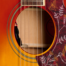 Epiphone HUMMINGBIRD STANDARD EC Acoustic Guitar (Cherry Sunburst)