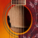 Epiphone HUMMINGBIRD STANDARD Acoustic Guitar (Cherry Sunburst)