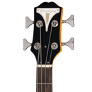 Epiphone EONB4 Newport Guitare basse électrique (California Coral)