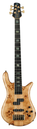 Spector Euro CST 5 cordes de basse électrique (brillant naturel)