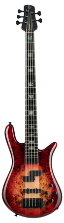 Spector Euro CST à 5 cordes de basse électrique (brillance rouge naturel)