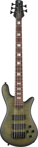 Spector Euro 5 LX Bolt-on 5 cordes Guitare de basse électrique (Haunted Moss)