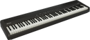 Roland FP-40 Digital Piano - 88 Keys (Black)