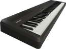 Roland FP-40 Digital Piano - 88 Keys (Black)