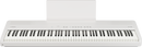 Roland FP-40 Digital Piano - 88 Keys (White)
