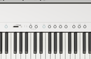 Roland FP-40 Digital Piano - 88 Keys (White)