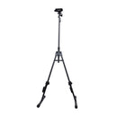 Gator GFW-BNO-CELLO Adjustable Stand for Cello
