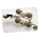 Faisceau de câblage DiMarzio GW2104 SG®