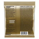 Cordes acoustiques Ernie Ball 2084EB Paradigm - 80/20 Medium 13-56