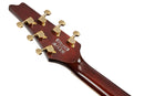 Guitare électrique Ibanez IC420GD Iceman (Or)